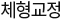 체형교정